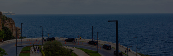 Car Rentals With Driver